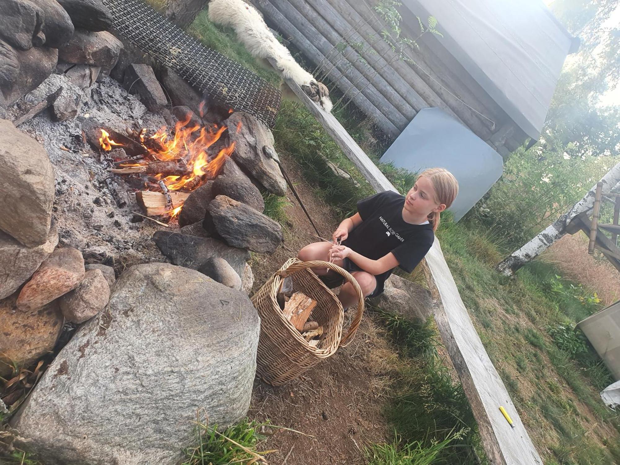 Villa Vittfarnas Vikingaby à Sosdala Extérieur photo